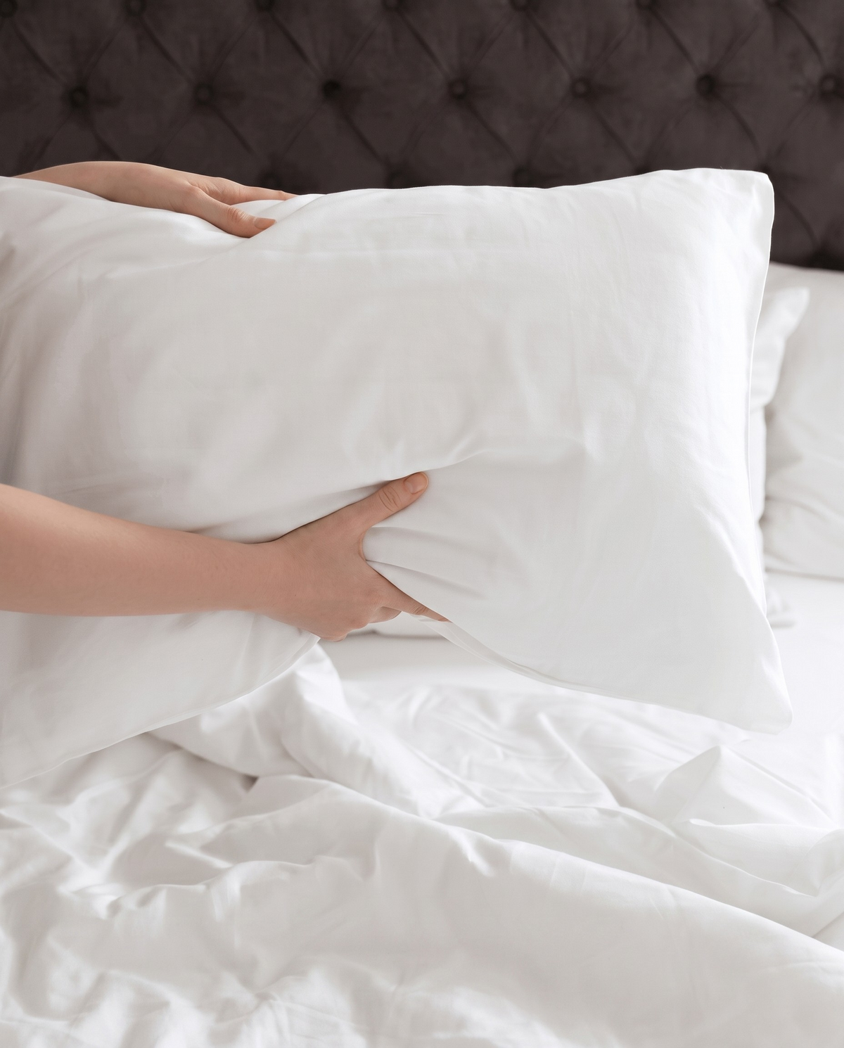 Natural Down – Feather Pillow